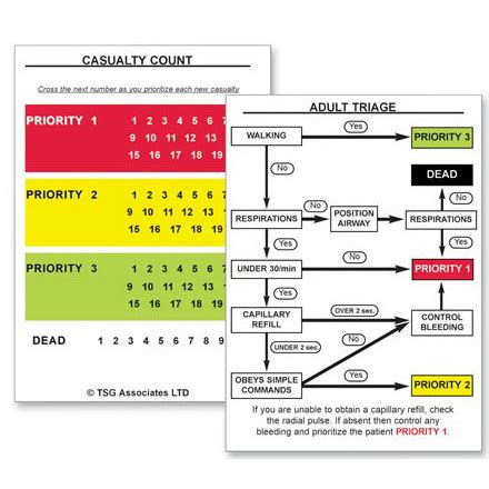 smart tag triage cards|smart triage flowchart.